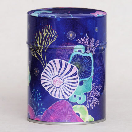 C-boite-the-illustree-kyoto