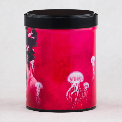 Boîte à thé illustrée empilable Méduses / Misstigri