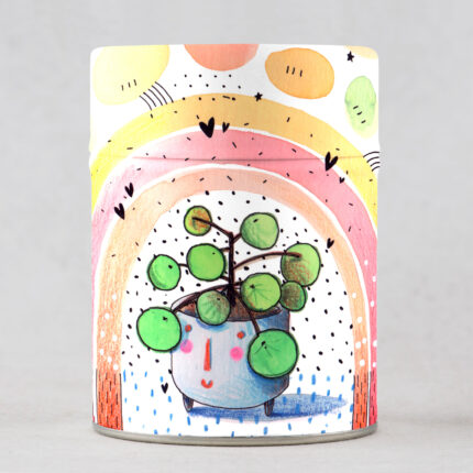 Pilea - Boîte à thé traditionnelle illustrée